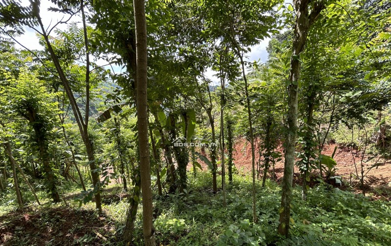Bán đất nghỉ dưỡng view đẹp tại Khánh Hòa - Hoa hồng cho môi giới: 2%